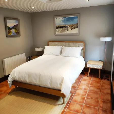 Ivy House Homestay Galway