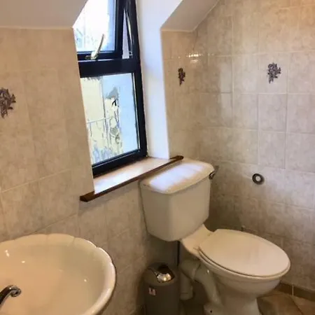 Homestay Ivy House Galway